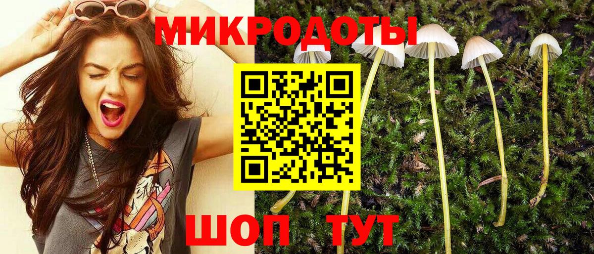 Братск  Галлюциногенные грибы мухоморы  Вход с VPN  Галлюциногенные грибы мицелий 